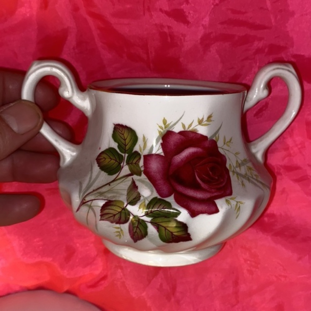 Vintage Ridgeway Ironstone Ware Anniversary China Dish wear Gold made in England